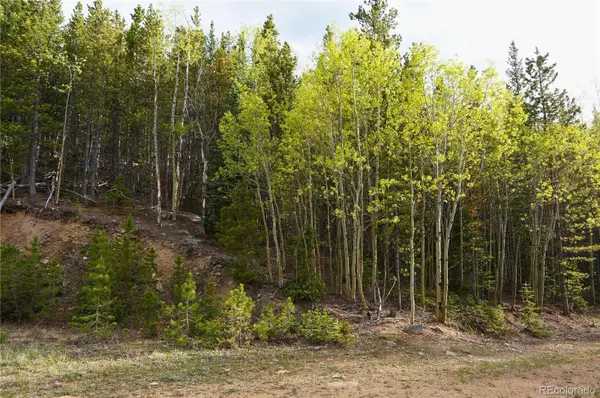 000 Trail Creek RD, Idaho Springs, CO 80452