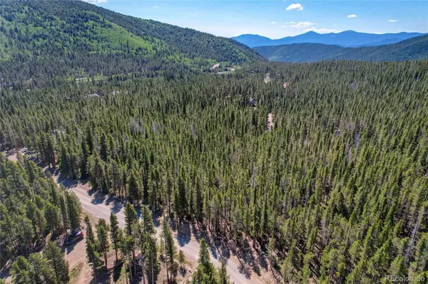 Lot 172 Lower Forest RD, Idaho Springs, CO 80452