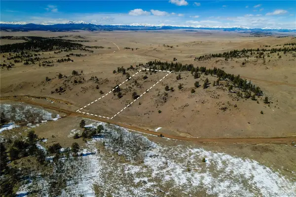 Dog Chief TRL, Hartsel, CO 80449