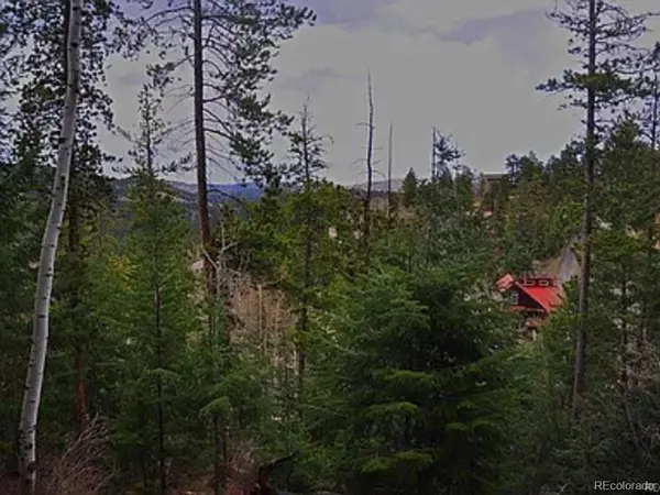 10136 Crest View DR, Morrison, CO 80465