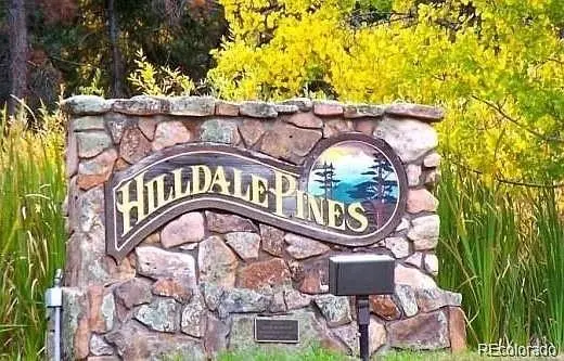 10136 Crest View DR, Morrison, CO 80465