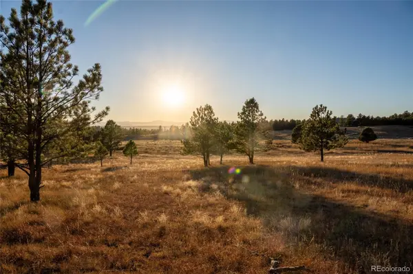 N/A Woodhaven Ridge RD, Parker, CO 80134