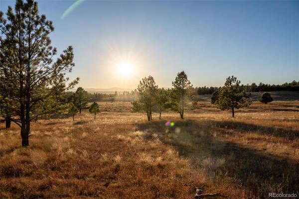 N/A Woodhaven Ridge RD, Parker, CO 80134