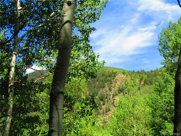 LOT 6295 Malcolm RD, San Luis, CO 81152