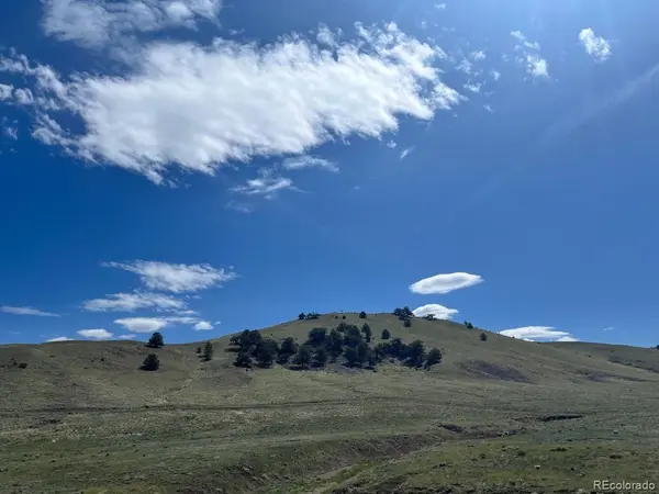 110 Watonga RD, Guffey, CO 80449