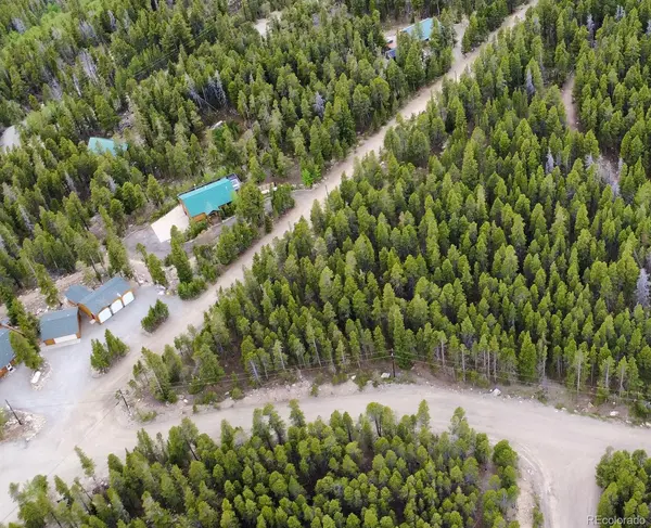 1090 Alice RD, Idaho Springs, CO 80452