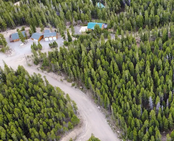 1090 Alice RD, Idaho Springs, CO 80452