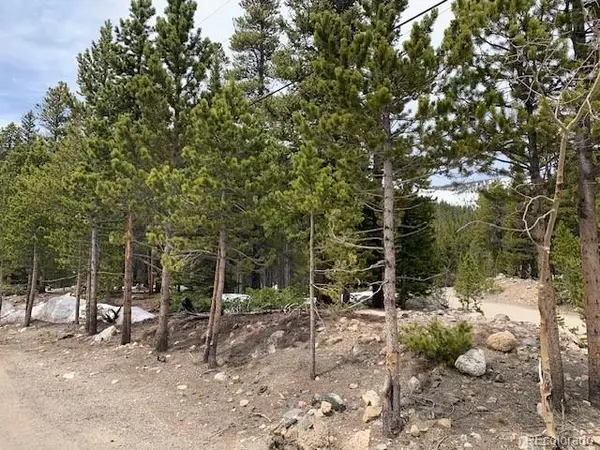 1090 Alice RD, Idaho Springs, CO 80452