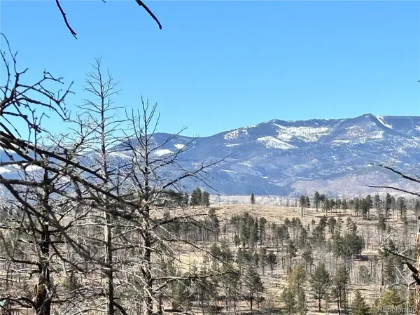 00 Marriot Circle, Fort Garland, CO 81133