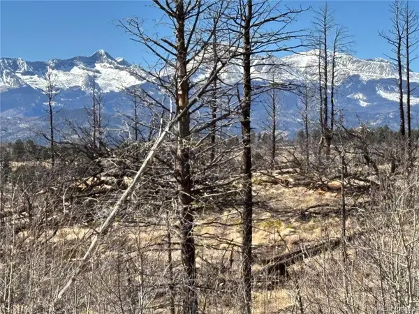 00 Marriot Circle, Fort Garland, CO 81133
