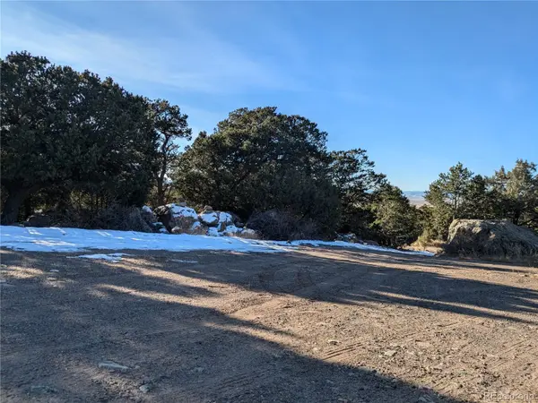 1284 Echo PT, Crestone, CO 81131