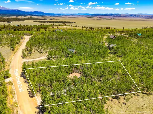 2346 High Creek RD, Fairplay, CO 80440