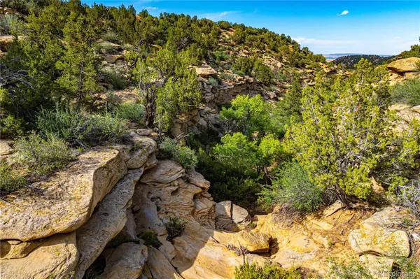 TBD L Bandito TRL, Florence, CO 81226