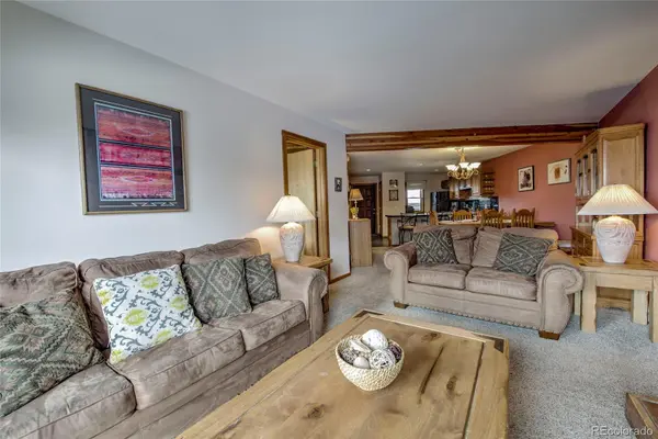 94300 Ryan Gulch RD #301, Silverthorne, CO 80498