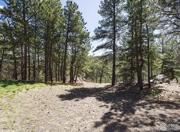 213 Rocky Knob LN, Nederland, CO 80466