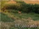 02 E Cherry Creek RD, Larkspur, CO 80118