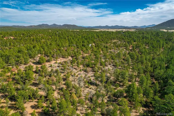 588 8th ST, Cotopaxi, CO 81223
