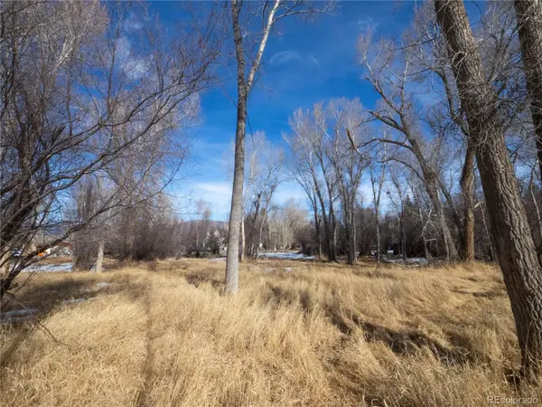 Tee RD, Buena Vista, CO 81211