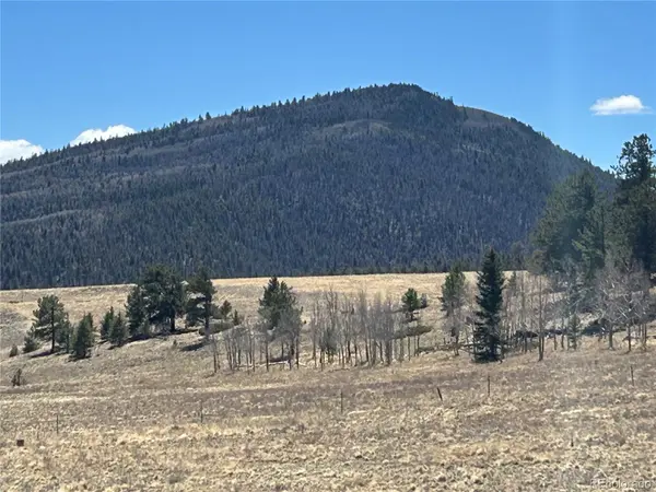 Singletree RD, Buena Vista, CO 81211
