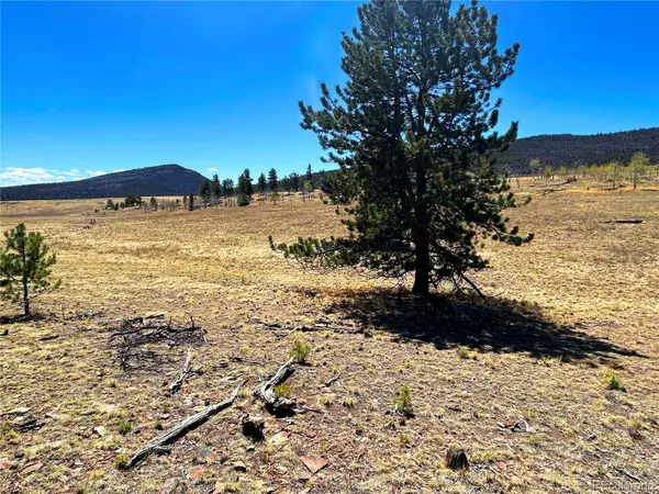 Singletree RD, Buena Vista, CO 81211