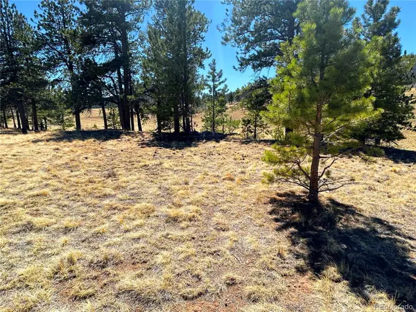 Singletree RD, Buena Vista, CO 81211