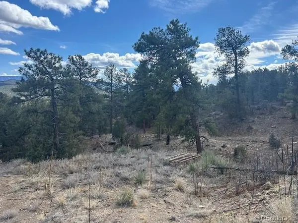 143 Ive PL, Cotopaxi, CO 81223