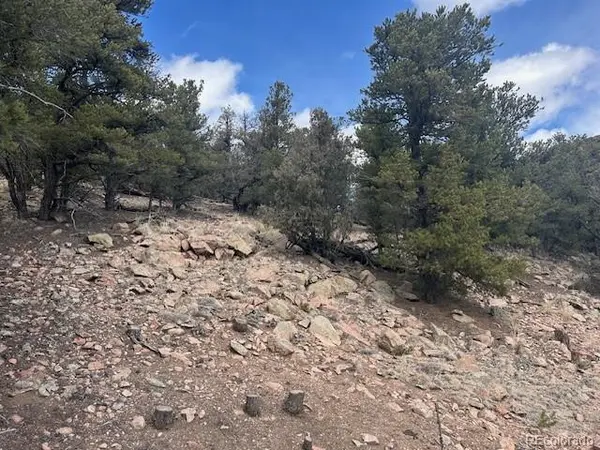 143 Ive PL, Cotopaxi, CO 81223