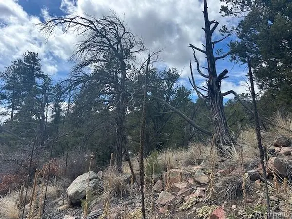 143 Ive PL, Cotopaxi, CO 81223