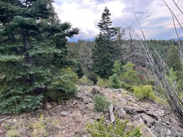 Lot 6184 Ryland RD, San Luis, CO 81152