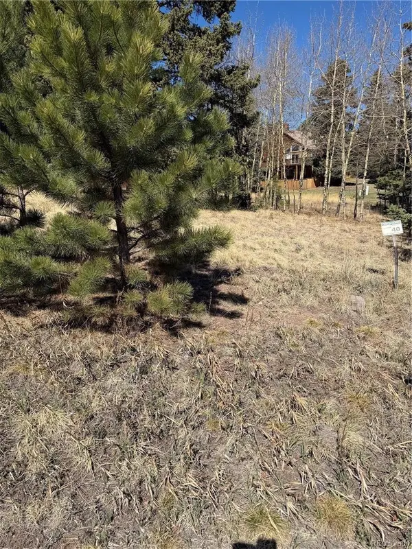 405 Meadow Park DR, Divide, CO 80814