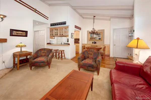 311 S High ST #209, Breckenridge, CO 80424