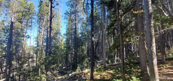 Lot 2999 & 2998 Drexler PL, Fort Garland, CO 81133