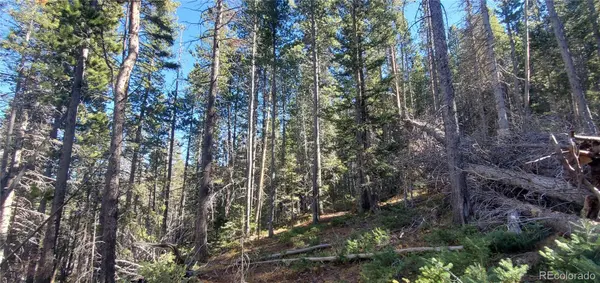 Lot 2999 & 2998 Drexler PL, Fort Garland, CO 81133