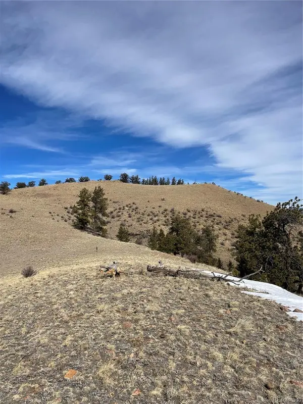 Antelope RD, Hartsel, CO 80449