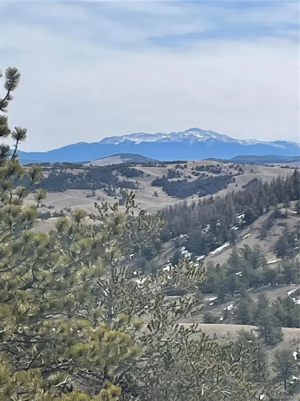 Antelope RD, Hartsel, CO 80449