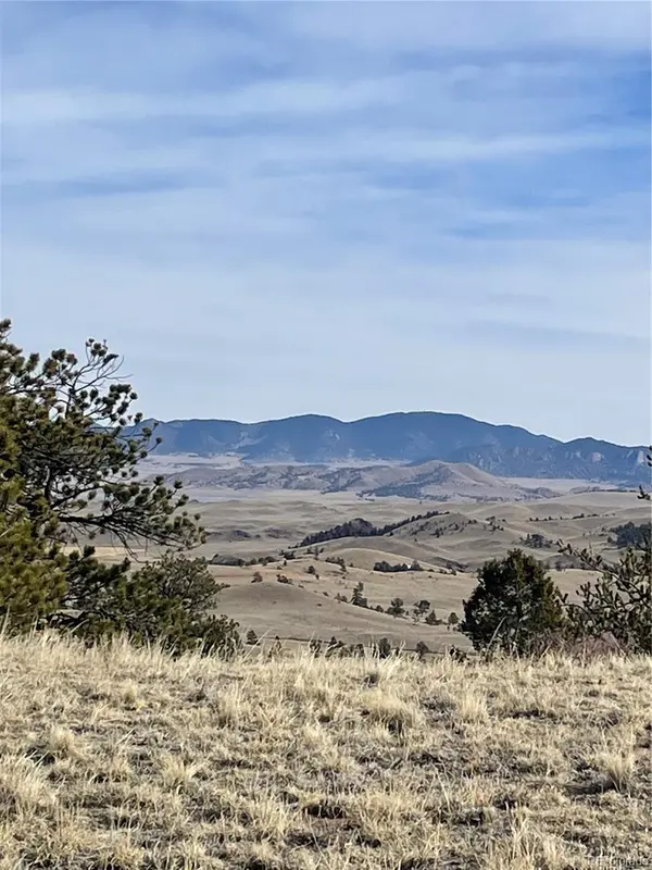 Antelope RD, Hartsel, CO 80449