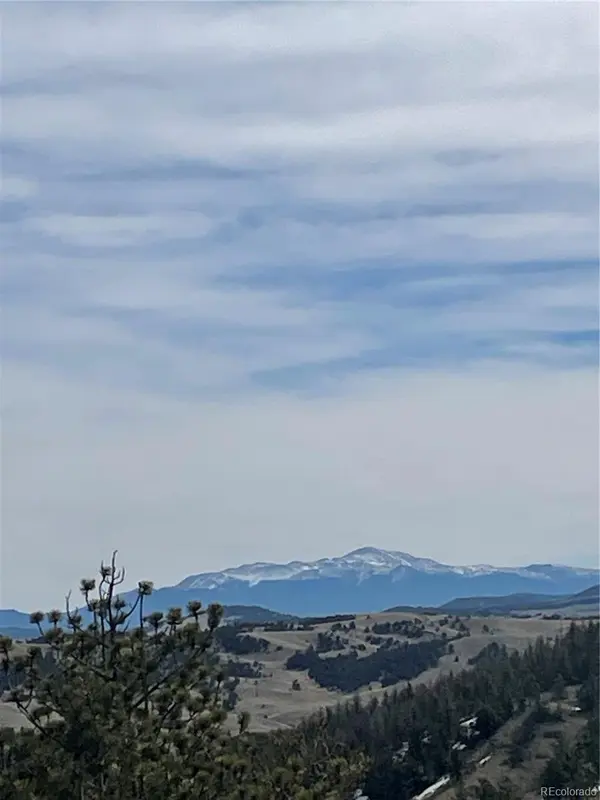 Antelope RD, Hartsel, CO 80449