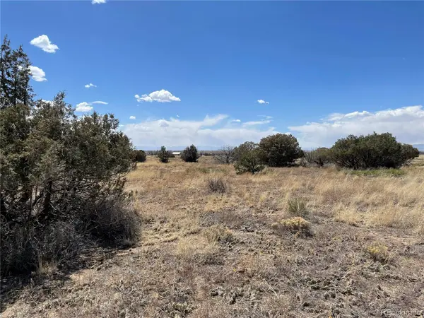 1307 Spanish Creek RD, Crestone, CO 81131