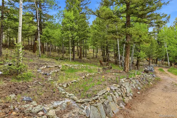 175 Mount Bailey DR, Bailey, CO 80421