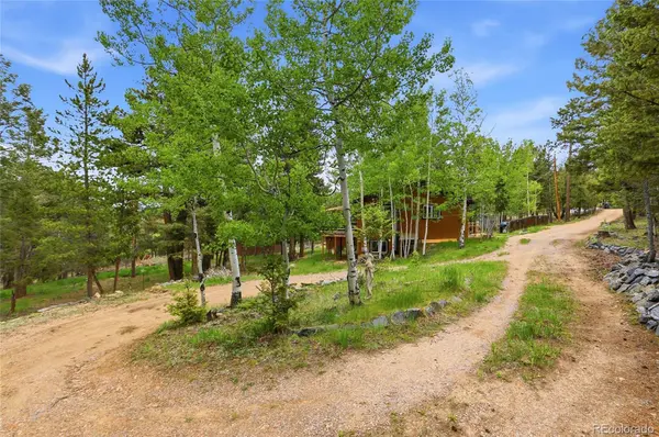 175 Mount Bailey DR, Bailey, CO 80421