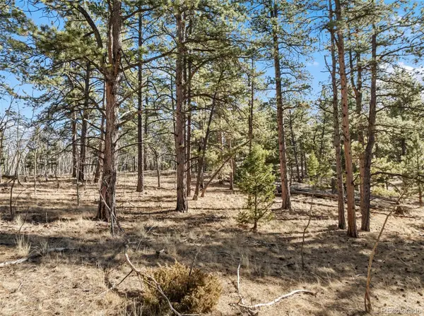 Lot 20 Echo Lake DR, Florissant, CO 80827