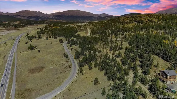 45 Platte River DR, Fairplay, CO 80440