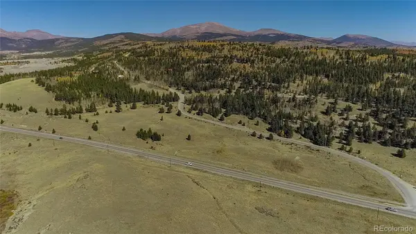 45 Platte River DR, Fairplay, CO 80440