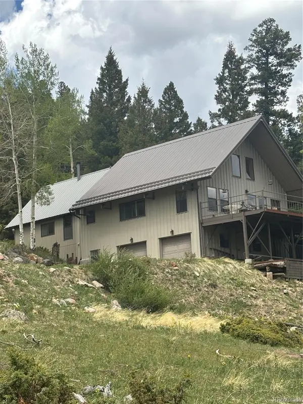 1113 Spring ST, Jasper, CO 81144