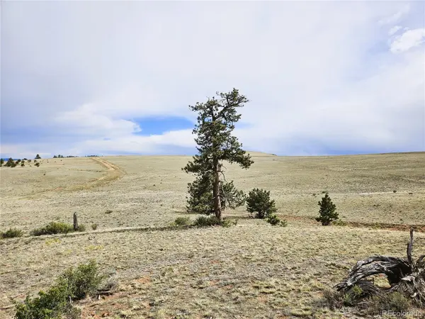 PCS#24131 Chato RD, Hartsel, CO 80449