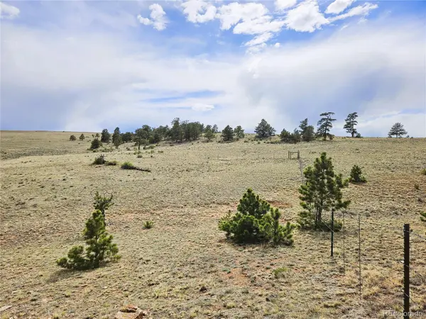 PCS#24131 Chato RD, Hartsel, CO 80449