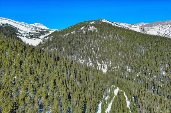 Nebraska Circle, Idaho Springs, CO 80452