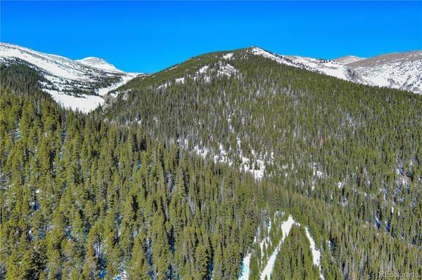 Nebraska Circle, Idaho Springs, CO 80452