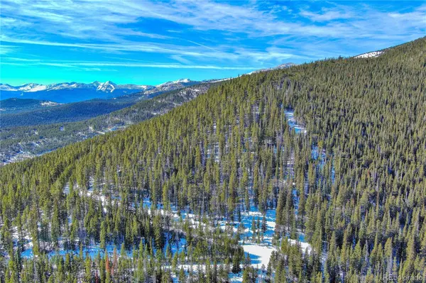 Nebraska Circle, Idaho Springs, CO 80452