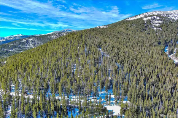 Nebraska Circle, Idaho Springs, CO 80452